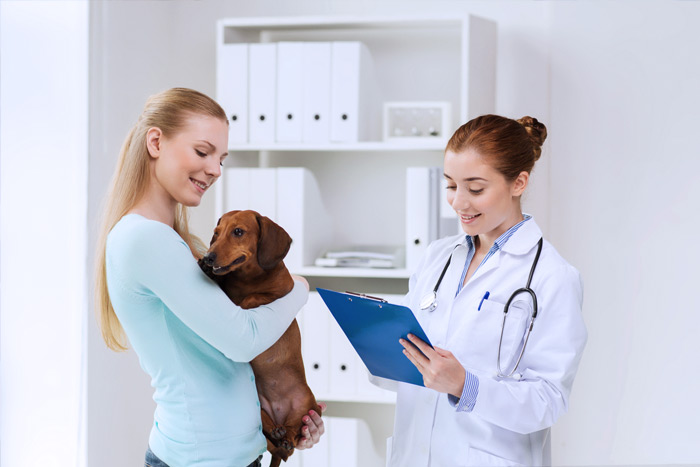 ЭЦП для оформления ветеринарных сертификатов (ГИС Меркурий) в Вилюйске